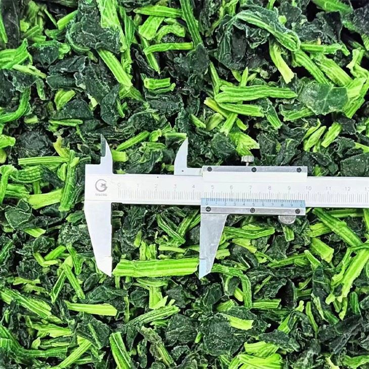 IQF chopped spinach