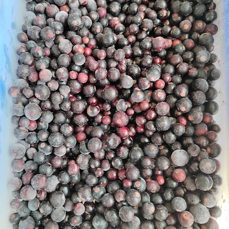 washed blueberries drying before freezing washed blueberries drying before freezing