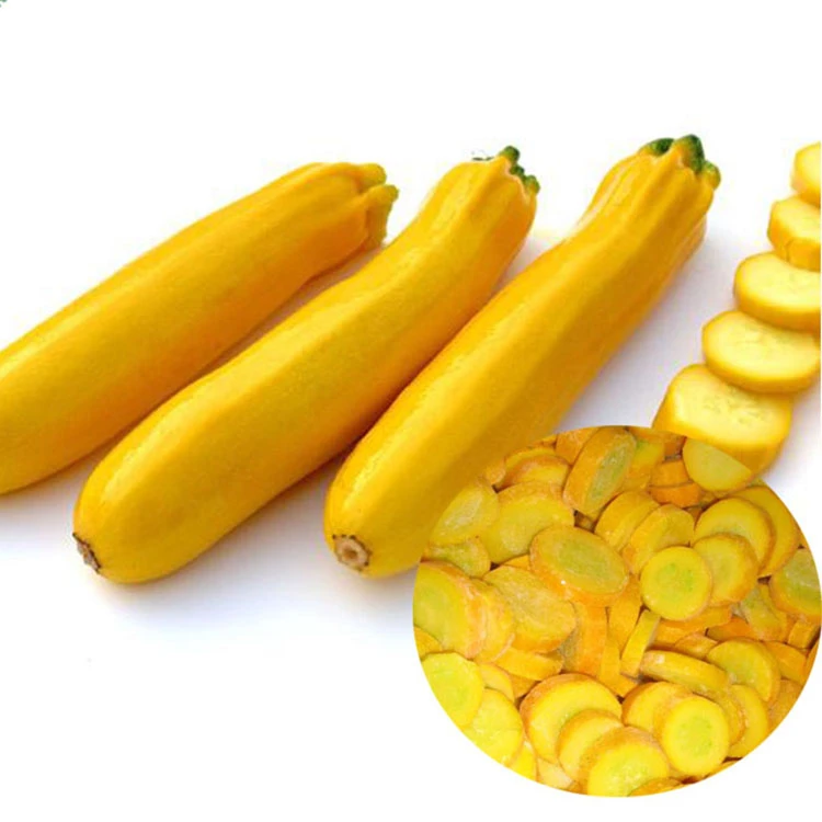 Shredded zucchini refrigerator life and freezing decision Shredded zucchini refrigerator life and freezing decision