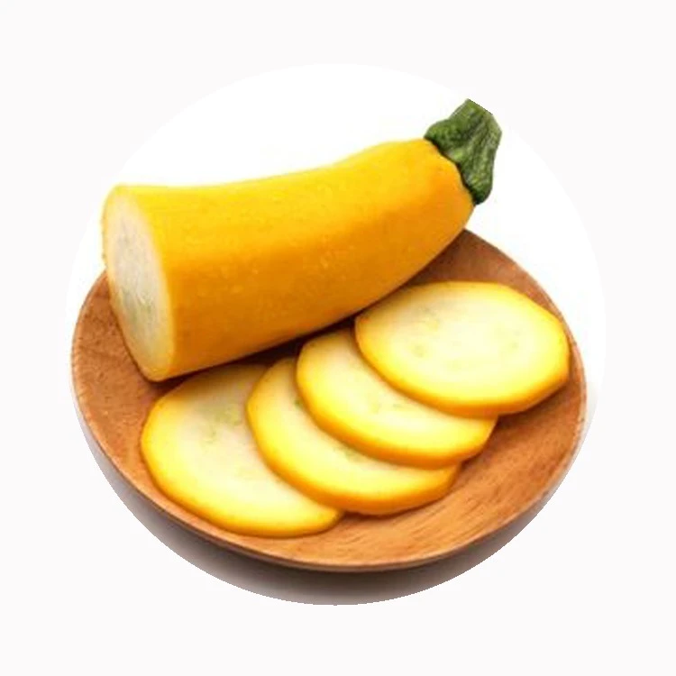 Fresh zucchini refrigerator shelf life and storage quality check Fresh zucchini refrigerator shelf life and storage quality check