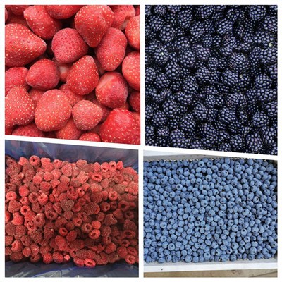 Koreansk fryst jordgubbe